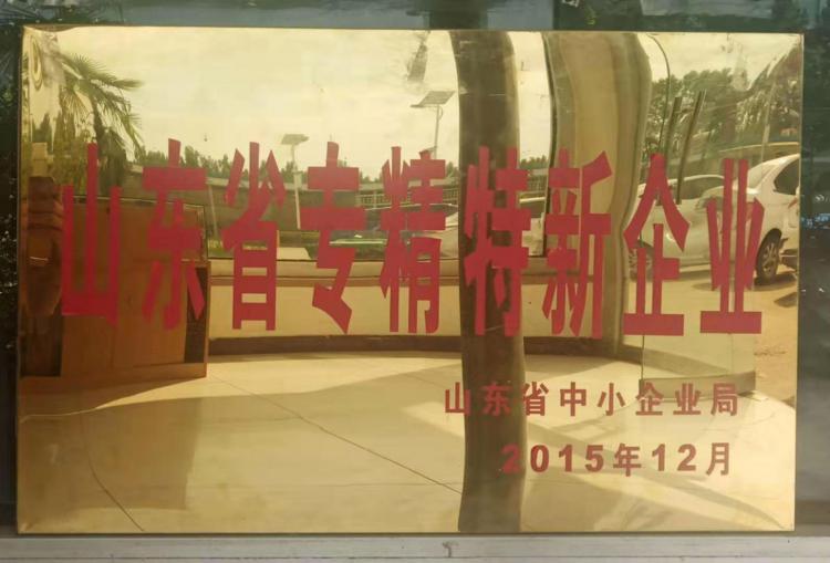 山东省专精特新企业